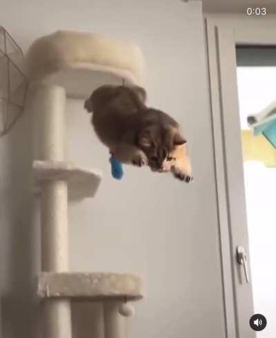 Perfectly calculated.