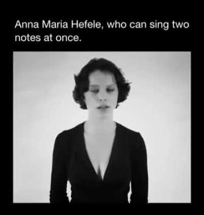 two voice analog synth just dropped!