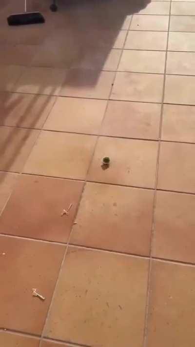 That escalated quickly