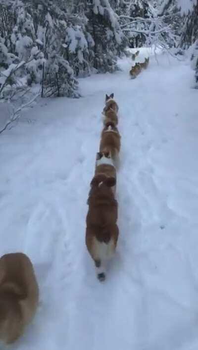 Off to defend their land