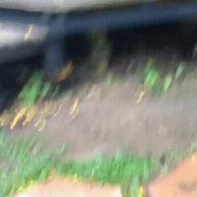 Wanna Be Just Friends?