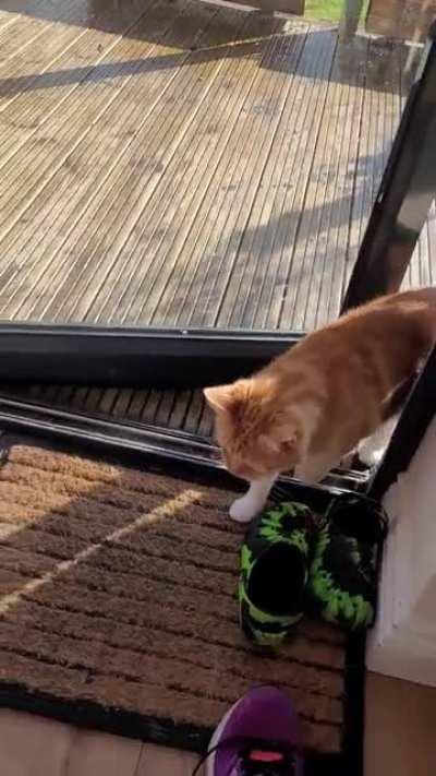 Fake Injury = House Entry