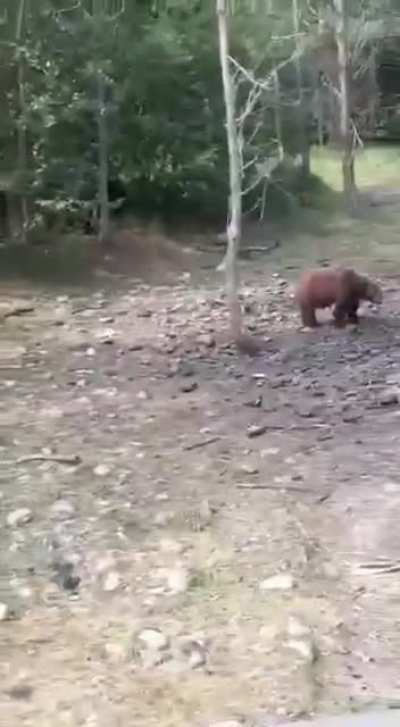 Когда пришло время строить новый ядерный реактор