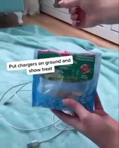 Also works for other pets and family members