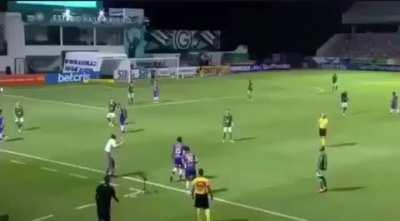 Imaginando aqui o Rogério na nossa sideline