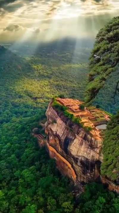 Reels nature doğa video