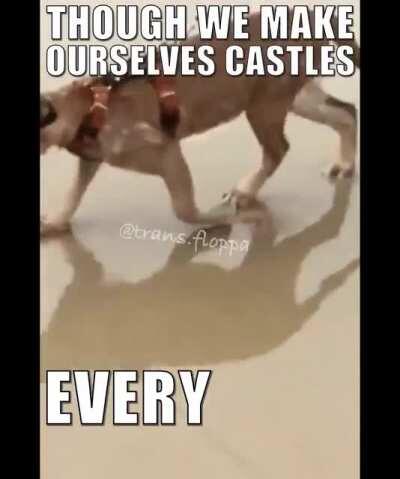 variations on a flop