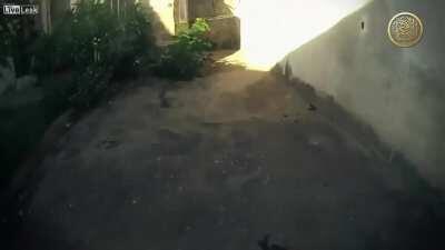 Al-Qaeda fighter is hit with a hand grenade and eventually killed during street-to-street fighting in Yemen