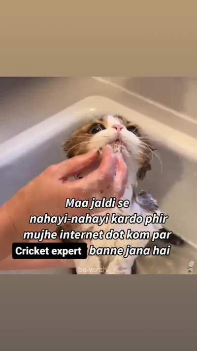 Average r/cricket member