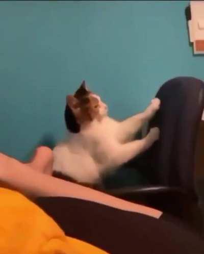 Sometimes you just gotta let it out.