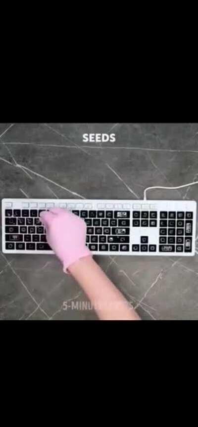 Plant keyboard
