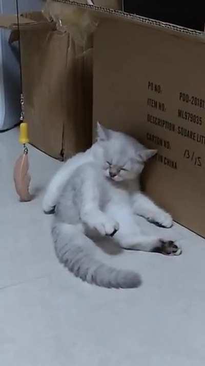 So tired to take a shower let me sleep for a while