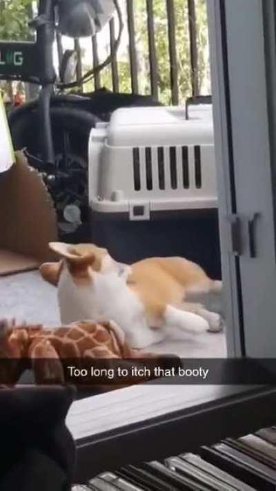 Carol's everyday struggles