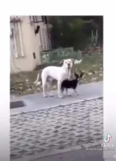 Someone needs to pass this message to Bert