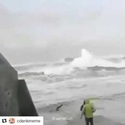 The sea has claimed its victim