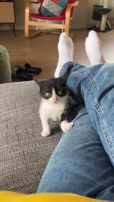 My angry little airplane attacks me