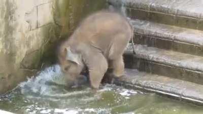 Lil guy testing the waters of life