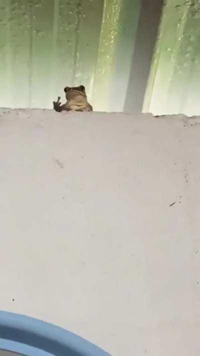 Phrog has a particular hand gesture for you