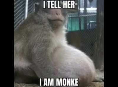 OOO OOOH AAH AAAAAAH AAAAAAAAAAH