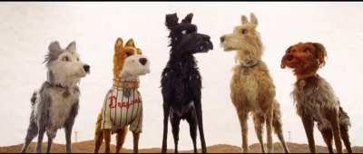 Pc Gamers in the wild