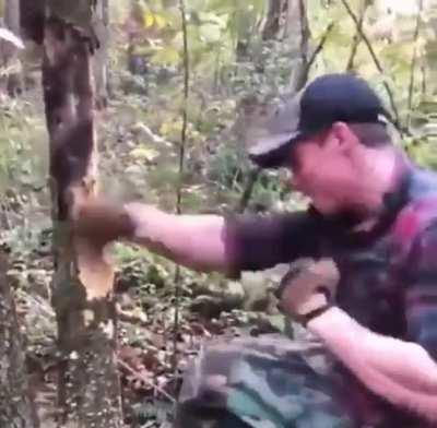 Ten seconds after starting a new world be like: