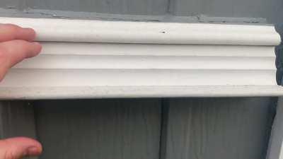 Why we haven’t gotten our mail for a few days 