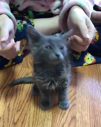 Feeling very relaxed...