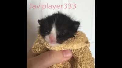 Nooooooooo Version chilena 🇨🇱🇨🇱 Tremendo nombre todo original 😎👌