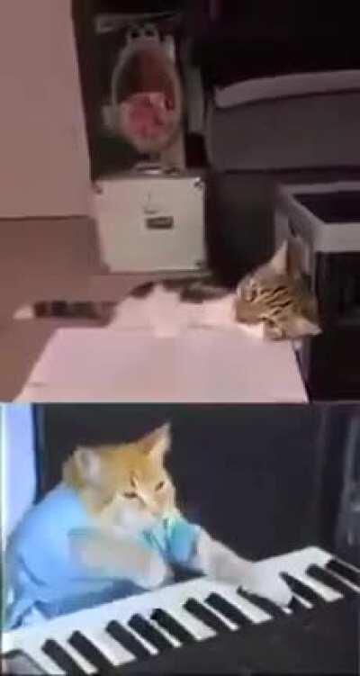 The band was born of boredom quarantine...