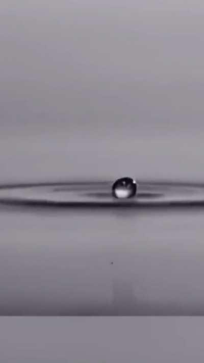 Water droplets don't sink immediately when they hit water