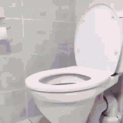 Just randomly found this GIF LOL