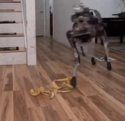 How to counter the robo dogs