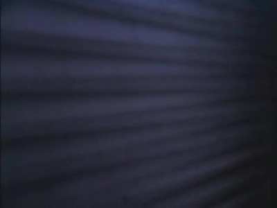 Brinke Stevens - Hybrids (1997)