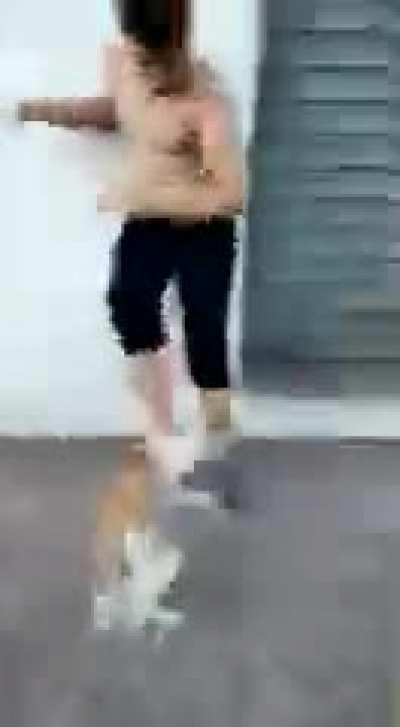 F no chat😔😔😔😔