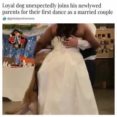 A newlywed couple was enjoying their first dance when suddenly someone unexpectedly joined them.