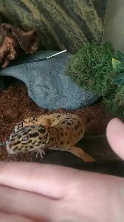 My son Steven coming to say hi!