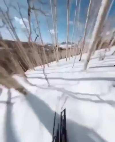 This is some next level skiing