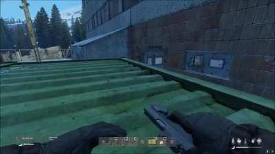 damn bear, i hate bears.