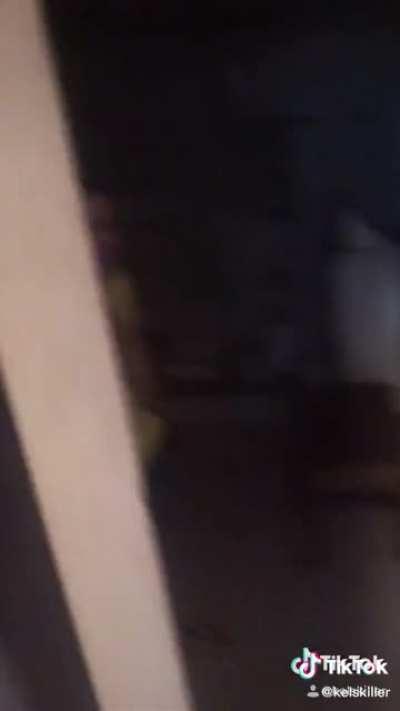 The average Redditor