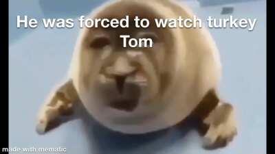 He was forced to watch turkey Tom