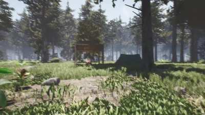 When nothing interferes with nature