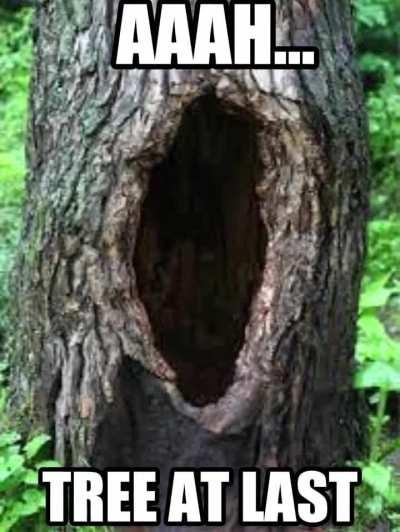 He has become one with nature.