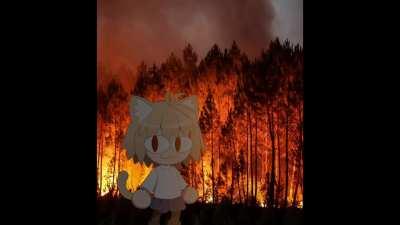 Kolejny hit w wykonaniu Kotarki