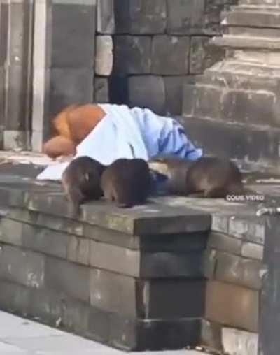 Homeless man annoyed