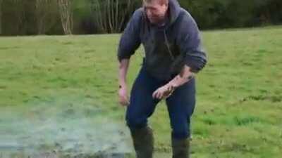 Cow poop and a firework