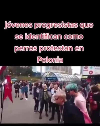 Se auto perciben como perros y protestan, pronto en chile llegara la moda.