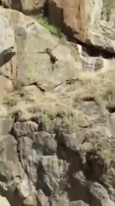 This is like my worst nightmare.