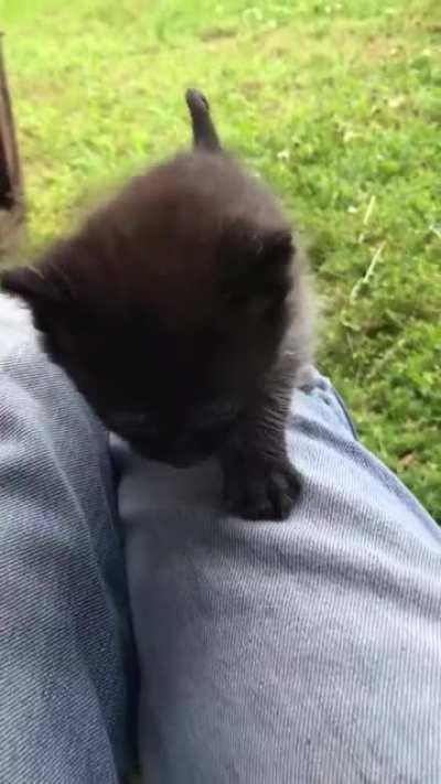 Let loose with a mighty roar.