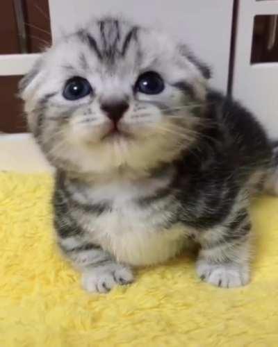 what a little sweetie