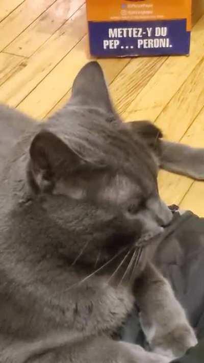 He likes classical music! Who knew..